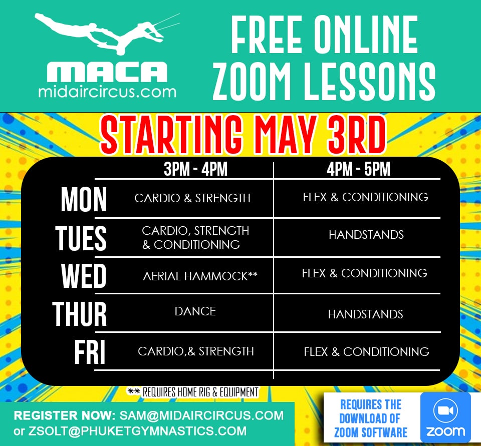 Zoom Lessons 2021